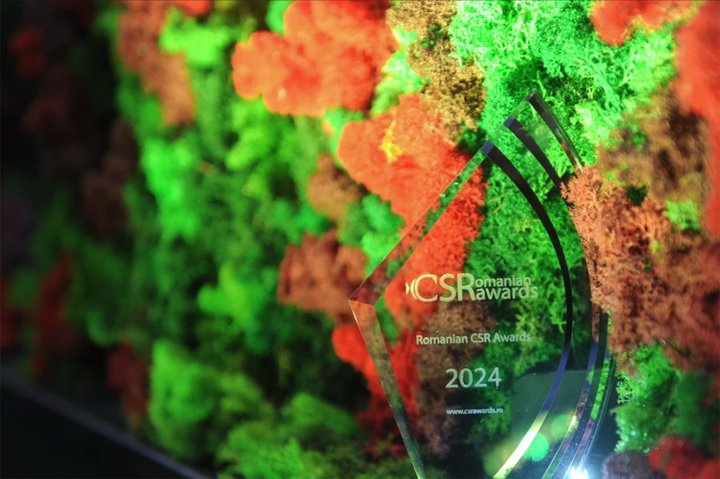 The Creative Recycling Caravan, a project signed by OSCAR Downstream and PlaYouth Association, wins the Second Prize at the Romanian CSR Awards, Environment category